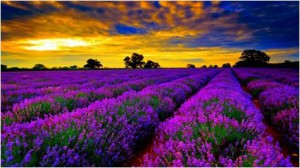 Witnessing Stunning Late Sunsets in Brittany - Top Places to Visit in France - Airline-topdeals