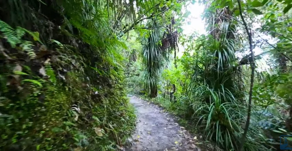 abel-tasman-coast-track