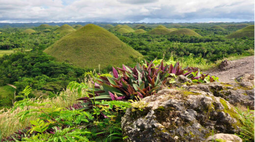 Bohol - Top 2 Place to Visit in the Philippines