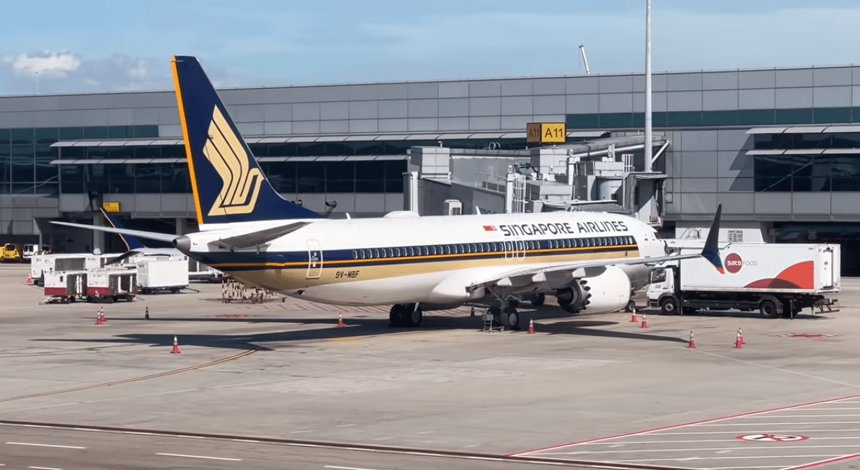 Top Tips to Find the Cheapest Flights to Singapore for You - image at Airline-topdeals
