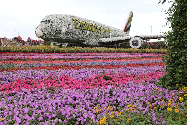 Dubai Miracle Garden - #5 Attraction in United Arab Emirates