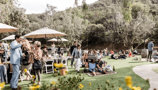 Whimsical Wine Date: Malibu Safari Romance